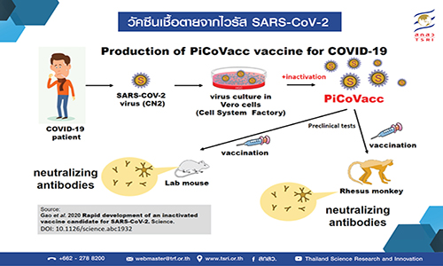 VaccineCOVID 01