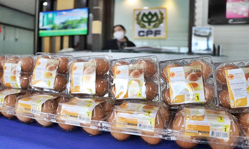 ไข่ไก่cpf