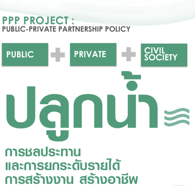 ปลูกน้ำ05