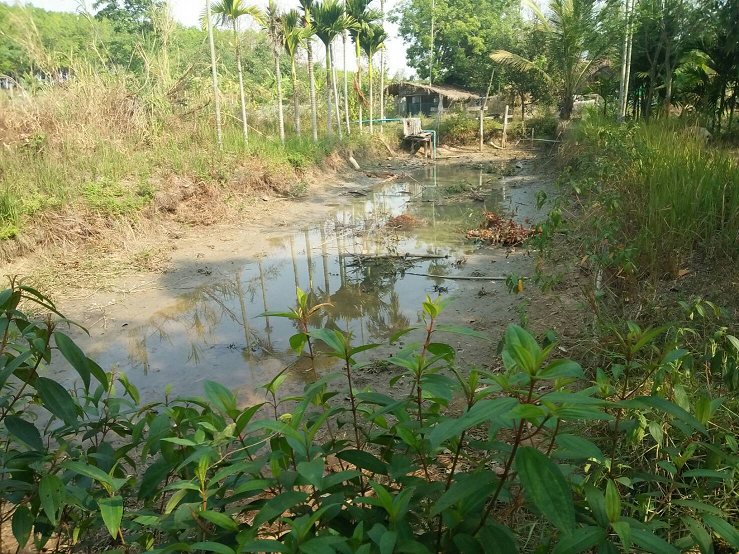 2 วิกฤตแหล่งน้ำชุมชนแห้งขอด เอสซีจี ร้อยใจ 108 ชุมชน รอดภัยแล้ง