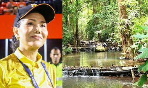 PIC anongwan 22 7 63 88