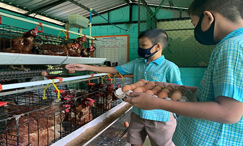 รร.ไก่ไข่