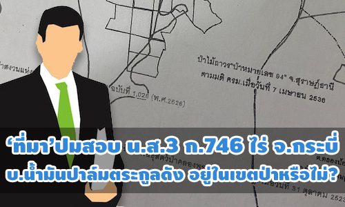 PIC nsknammunpalm 13 8 63 1