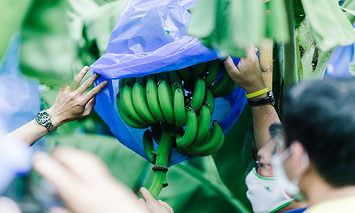 ภาพประกอบข่าว2 makro