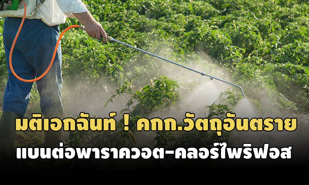 cvparaquart289111ppp