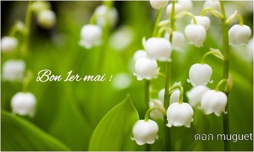 muguet0204