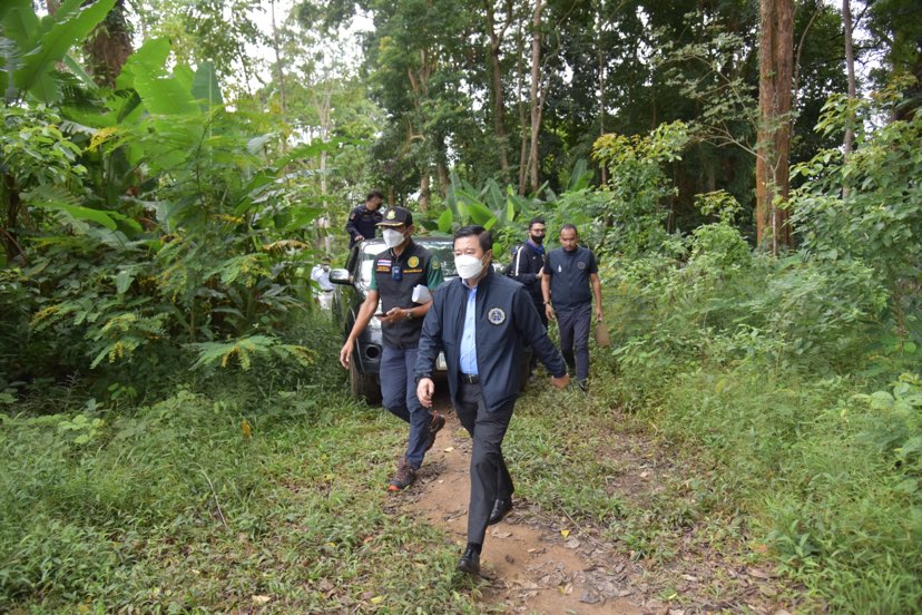 260289822 689883949082691 7994004405653434086 n