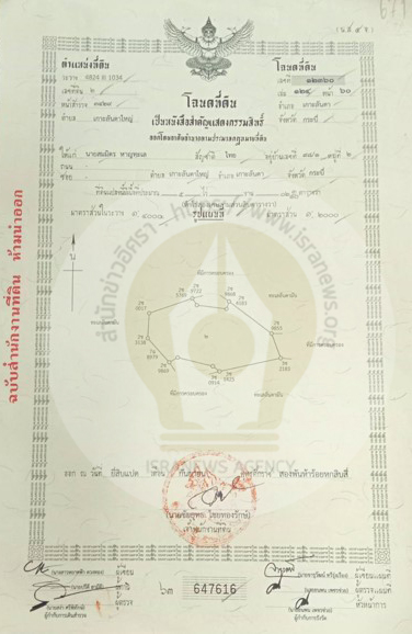 picchanooodsds11 30 64