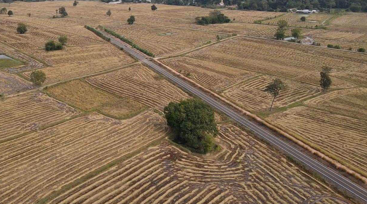 picpokkdskdsksdkdskdssd11 29 64