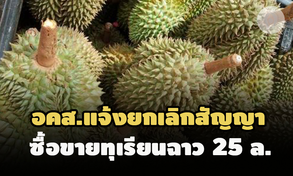 picdurtyedssdsd9 12 64