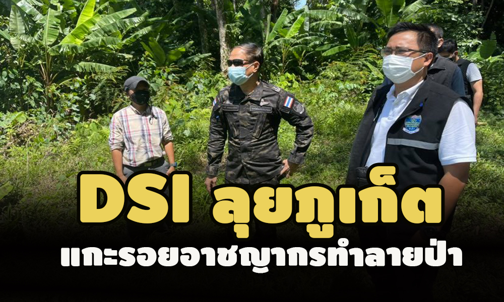 pictreeepuked06 09 64