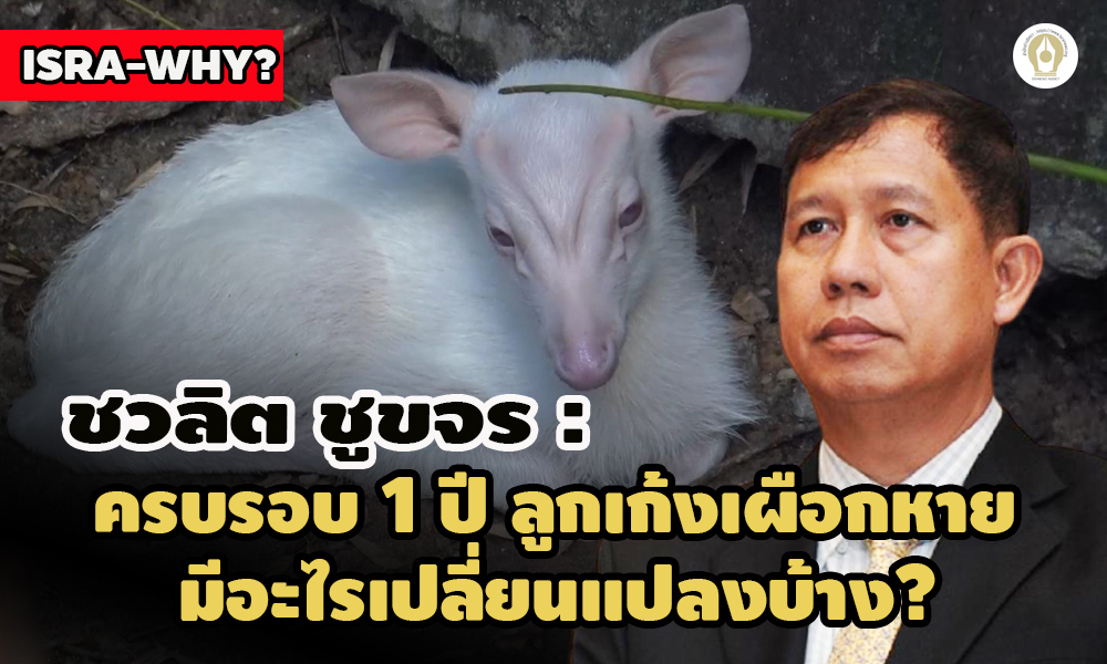 pickhhhdsdsdsddsds16 10 64