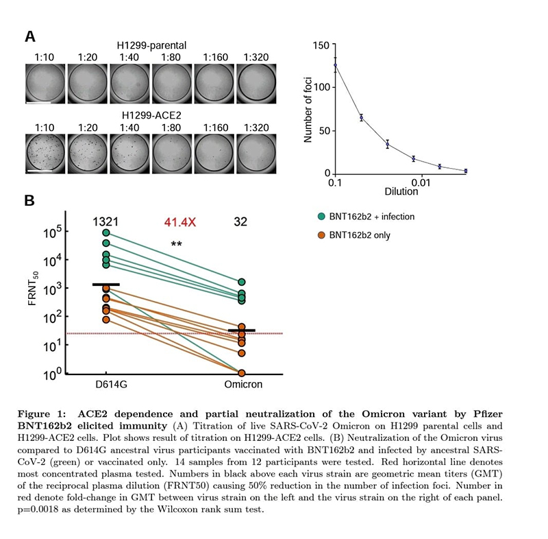 264088427 10223551246321747 7949095193768505103 n