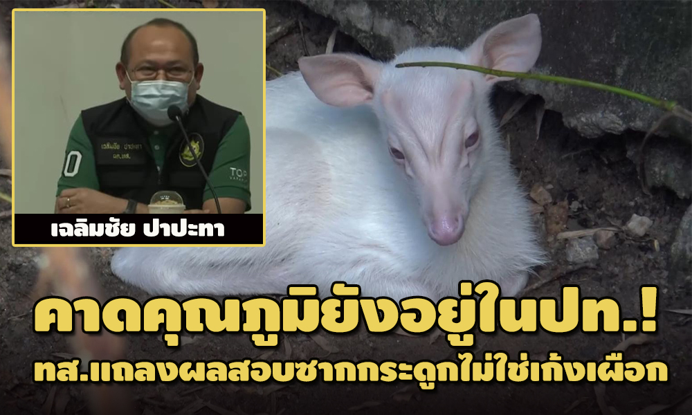 picdsdssdsdsasa22 1 64