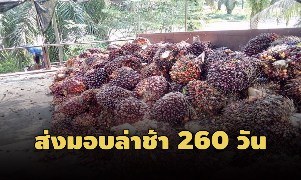 pickkkkkkkddcdcdcdc1 10 63