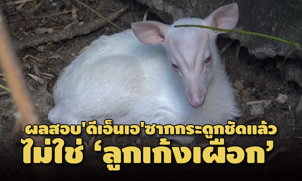 picluuhtgrffff19 1 63