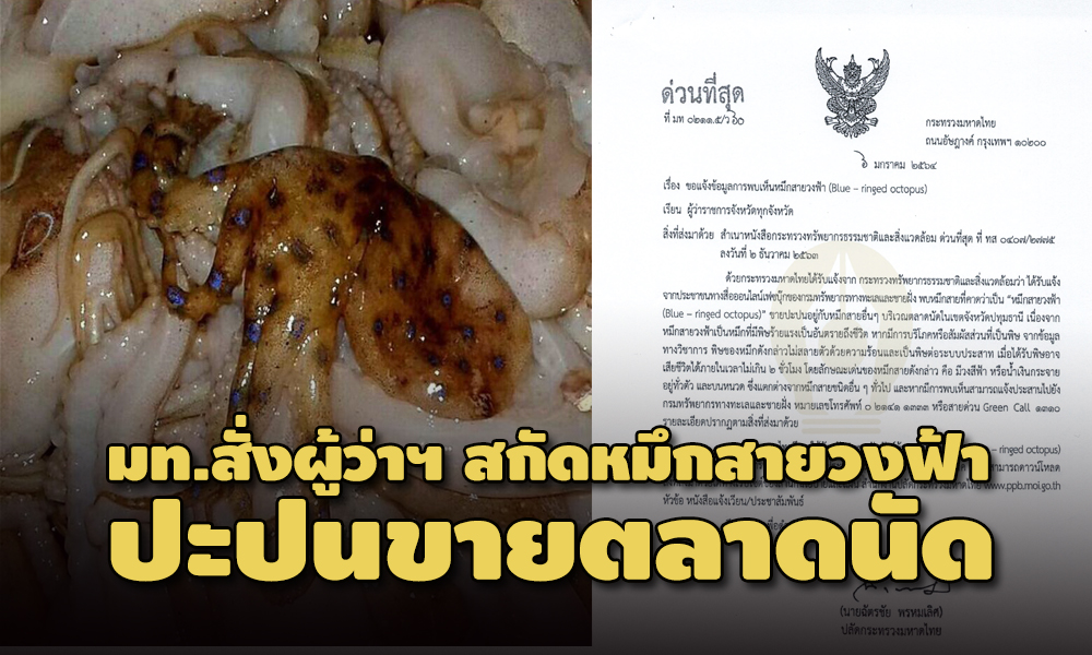 picphamaaaa01096319639 1 63