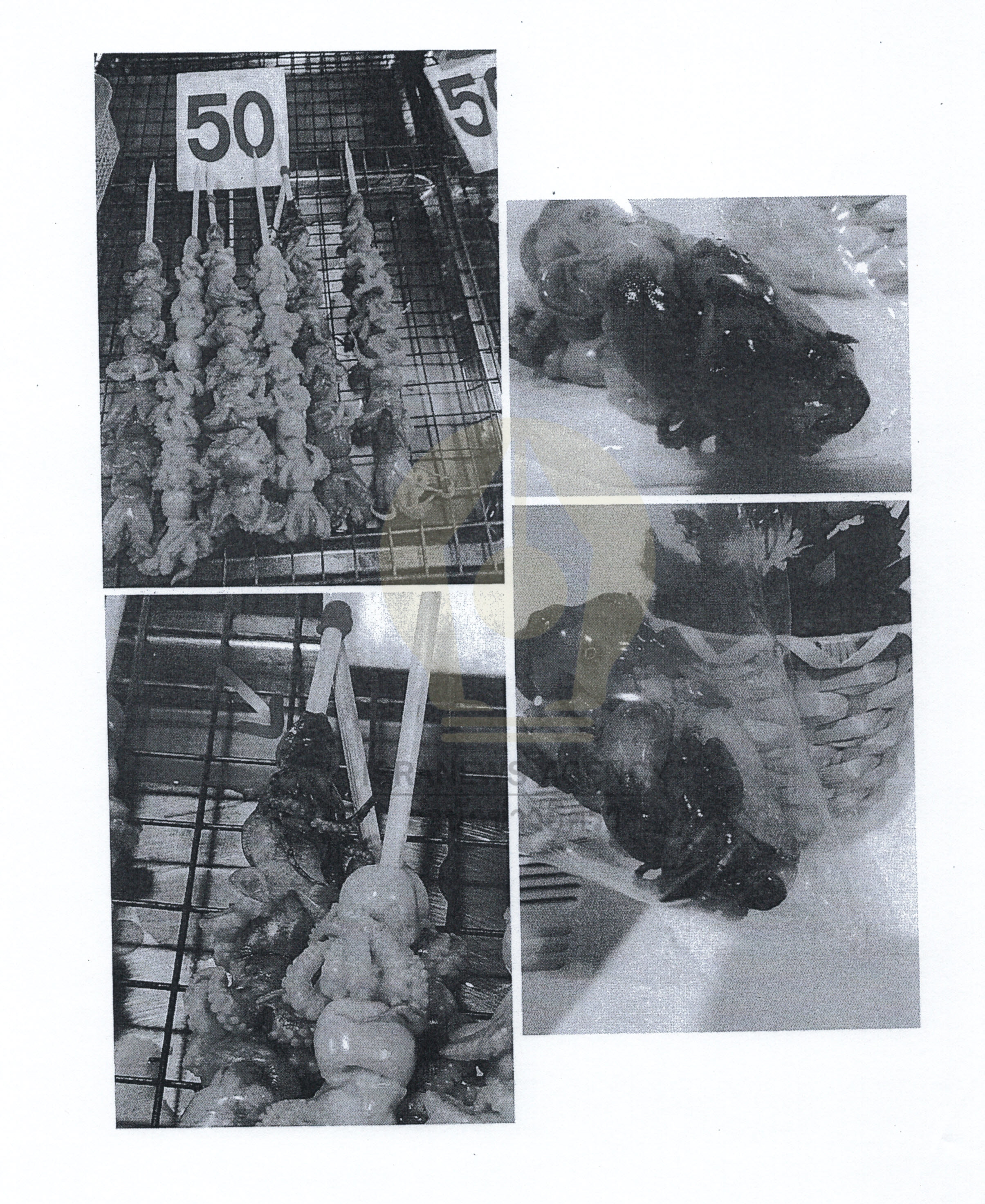 picphamaaaaxxxxx01019639 1 63