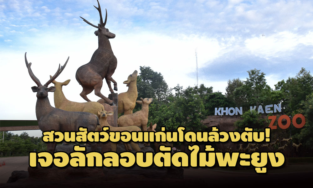 pictreeeeeeee21 1 63