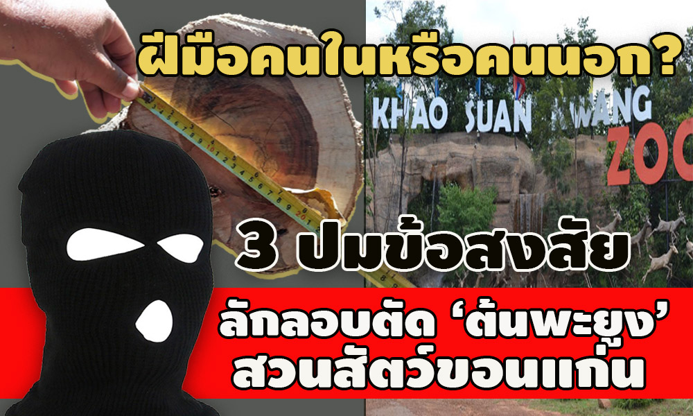 pictreeeeewewewewewee001 25 63