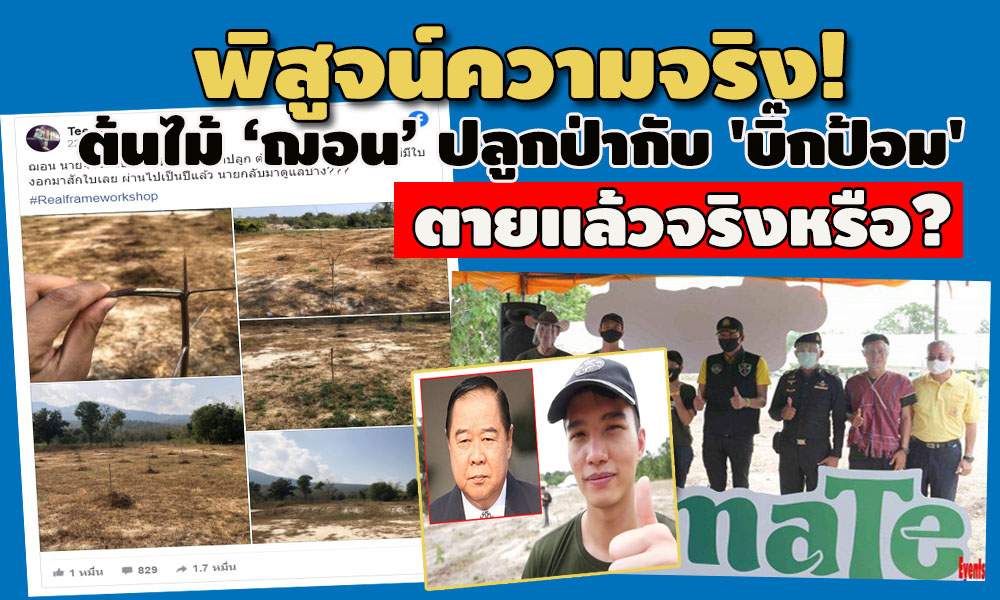 pictreeewewewewe00015 1 63