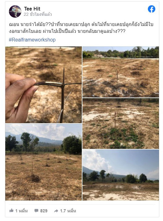 pictreeewewewewe15 1 63