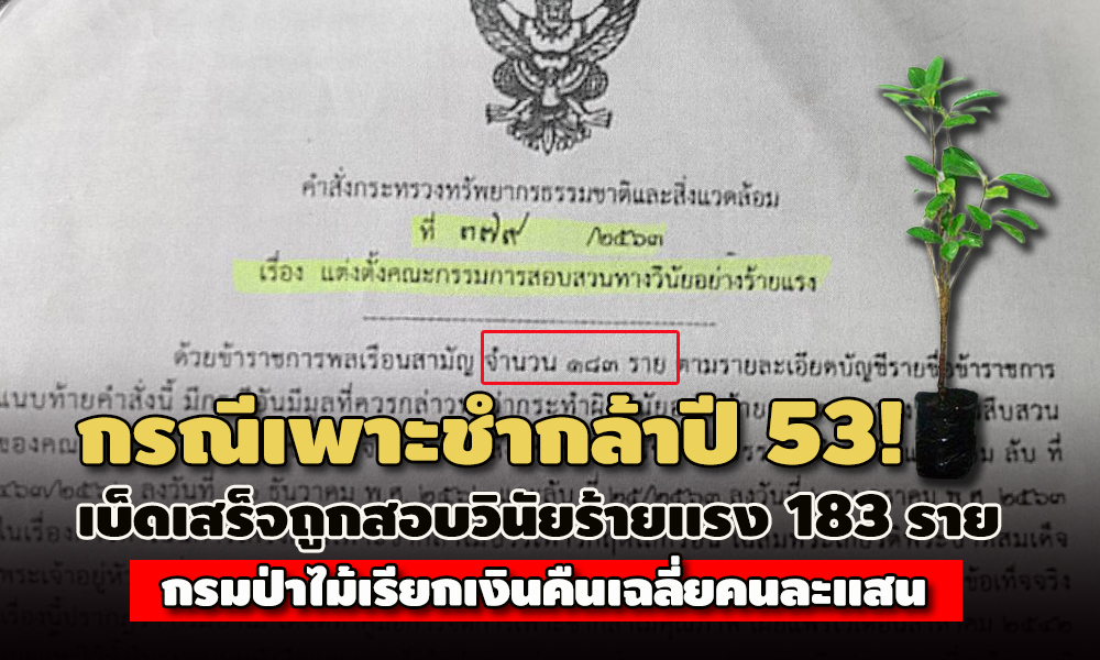 pictreewewewewewe19 1 63