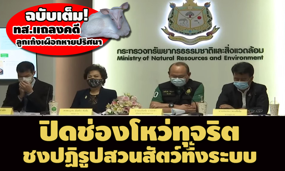 piczoooooso9630023 1 64