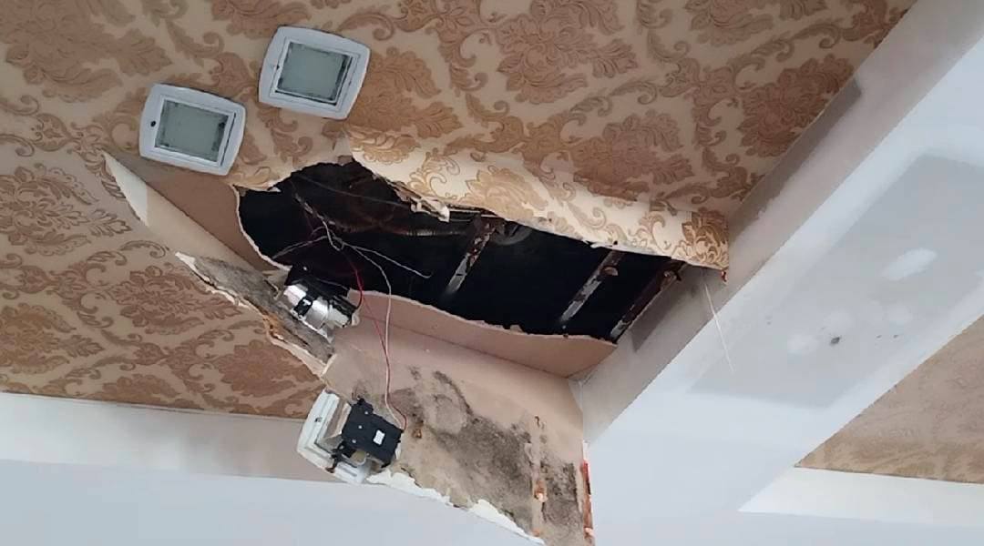 147555683 785483419017808 851969063321969928 n