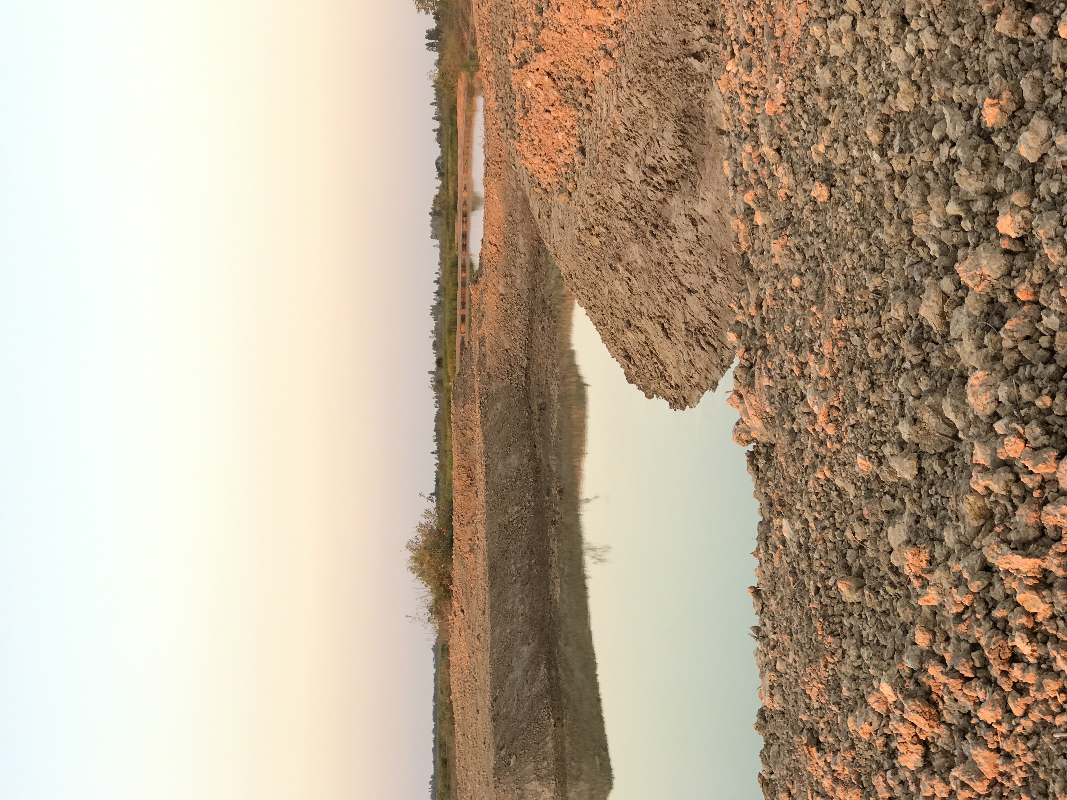 F1319EDB 98E4 4843 8C62 53D883D31113