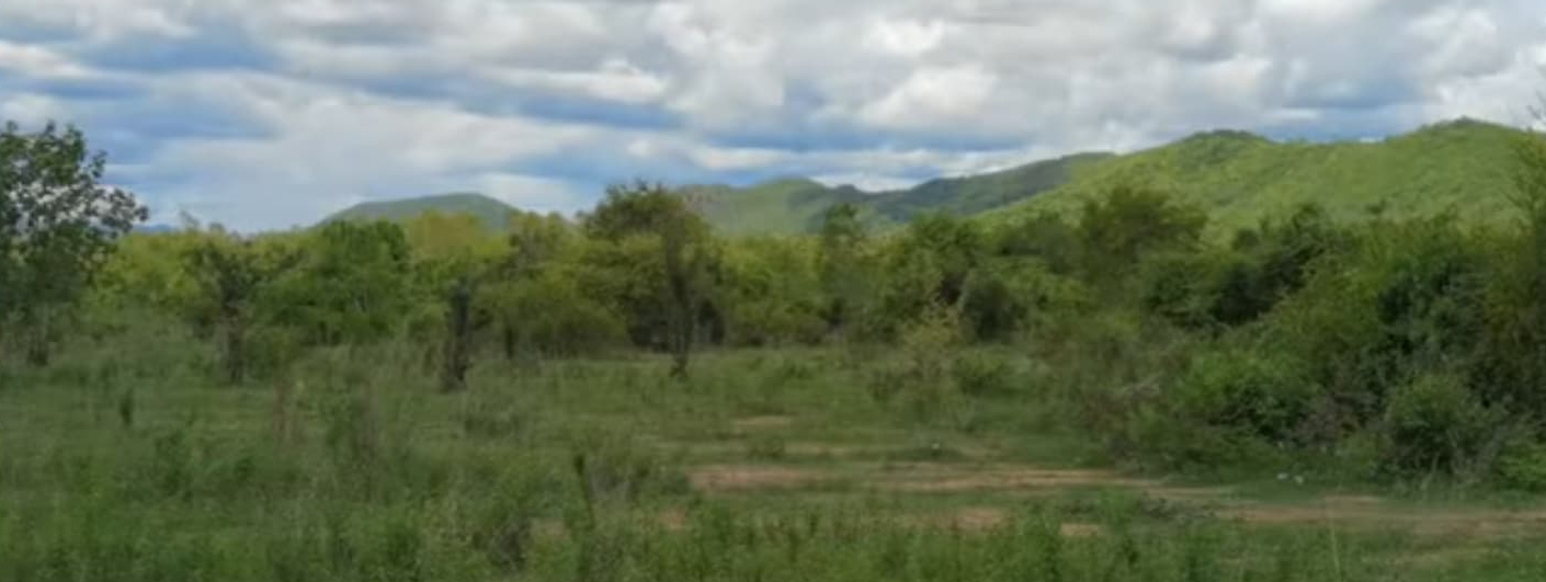 piclandsdsds9632 6 64