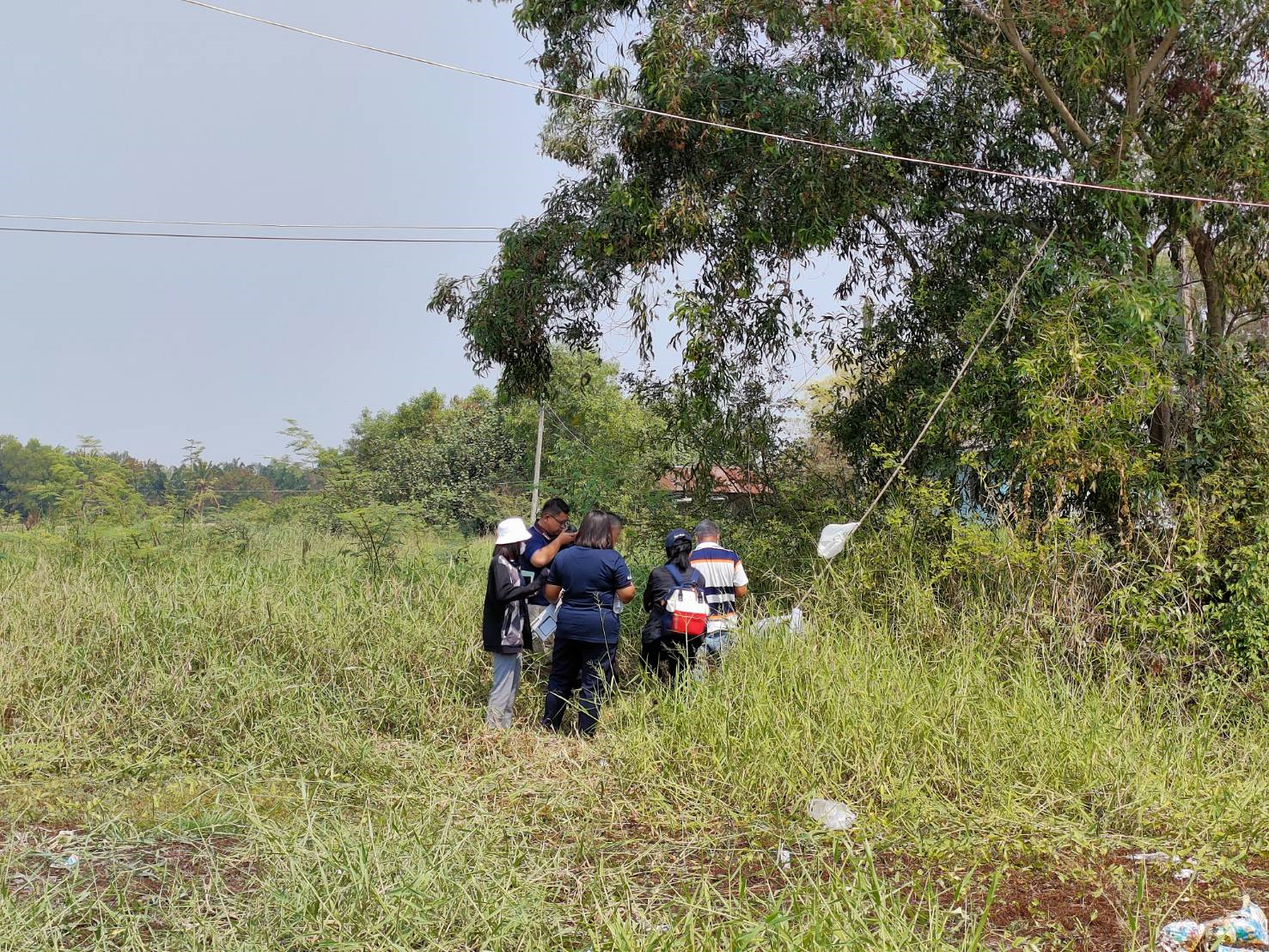 picpicnyhtgrfgffff0025 2 64