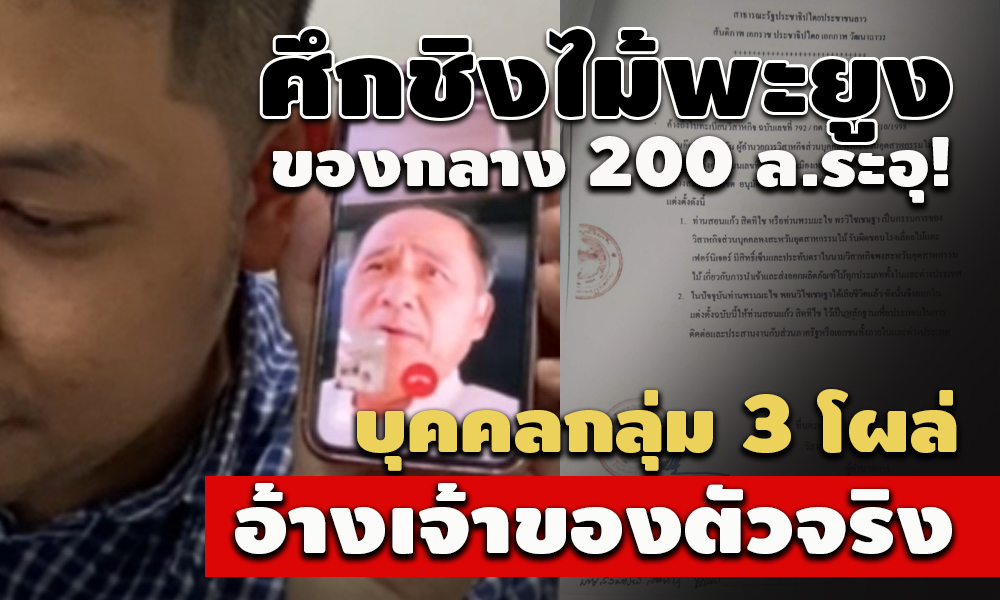 pictreewewewewe2 3 64