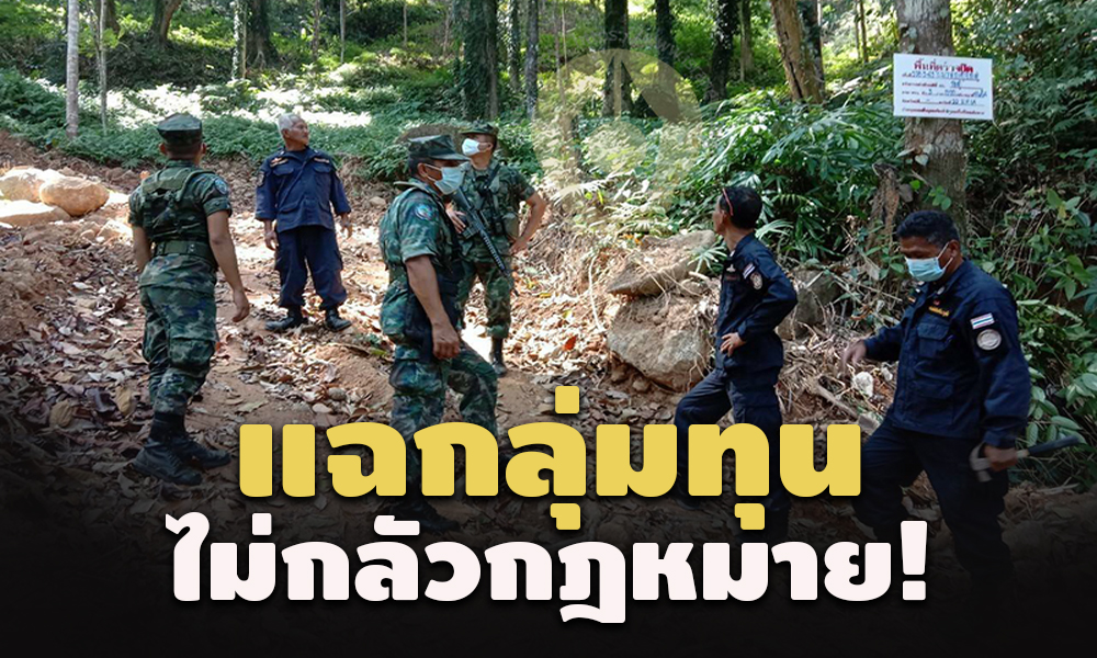 pictrfffffsdsdsdsdsd11 3 64