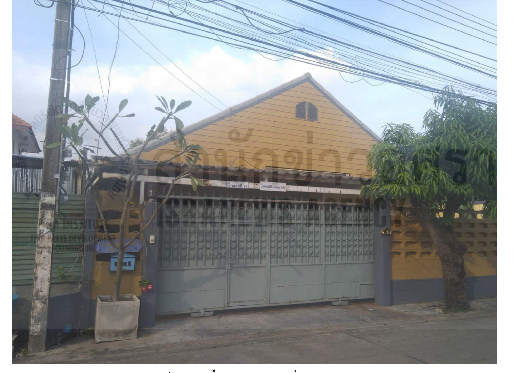 piccompany00633 22 64