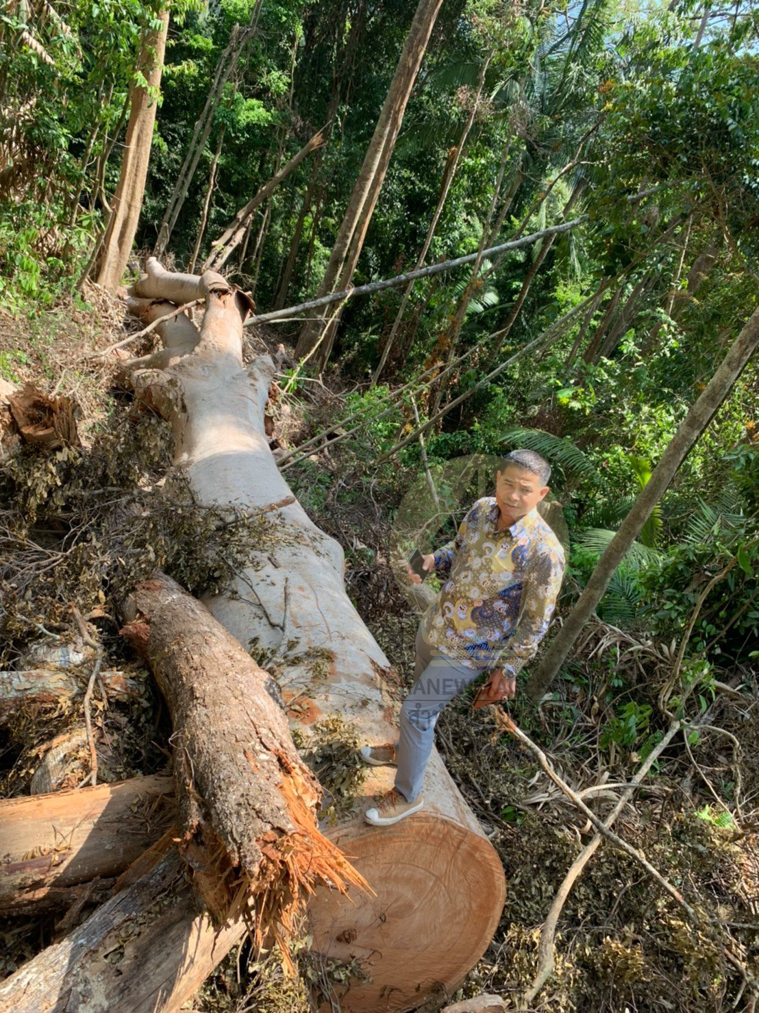 picdsiiiiisss3 18 64