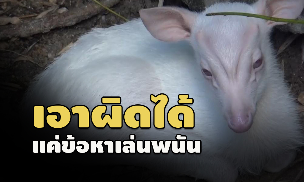 pickkkssasasasa17 4 64