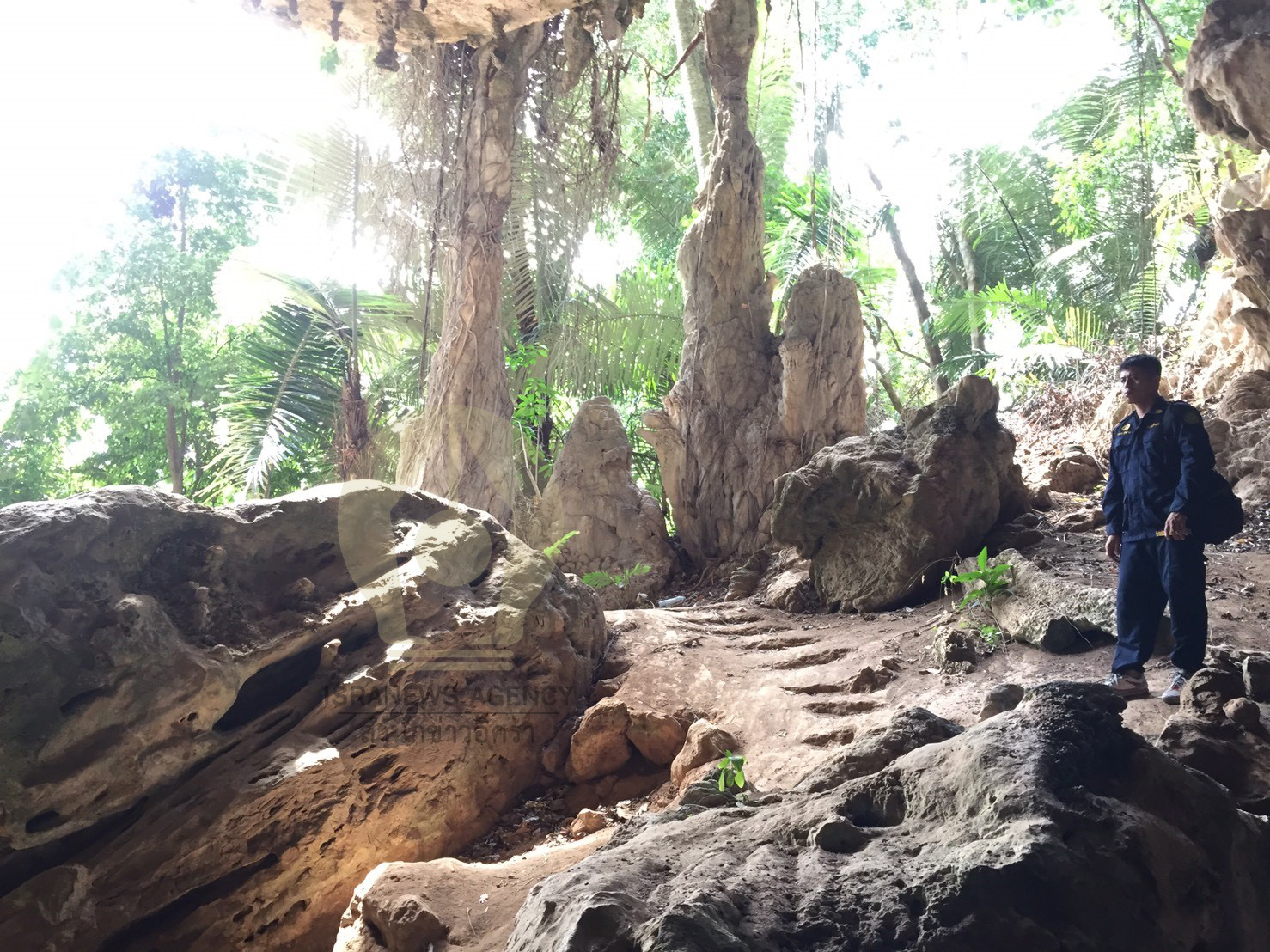 picsttrwdeddd96fffff3sss00324 3 64