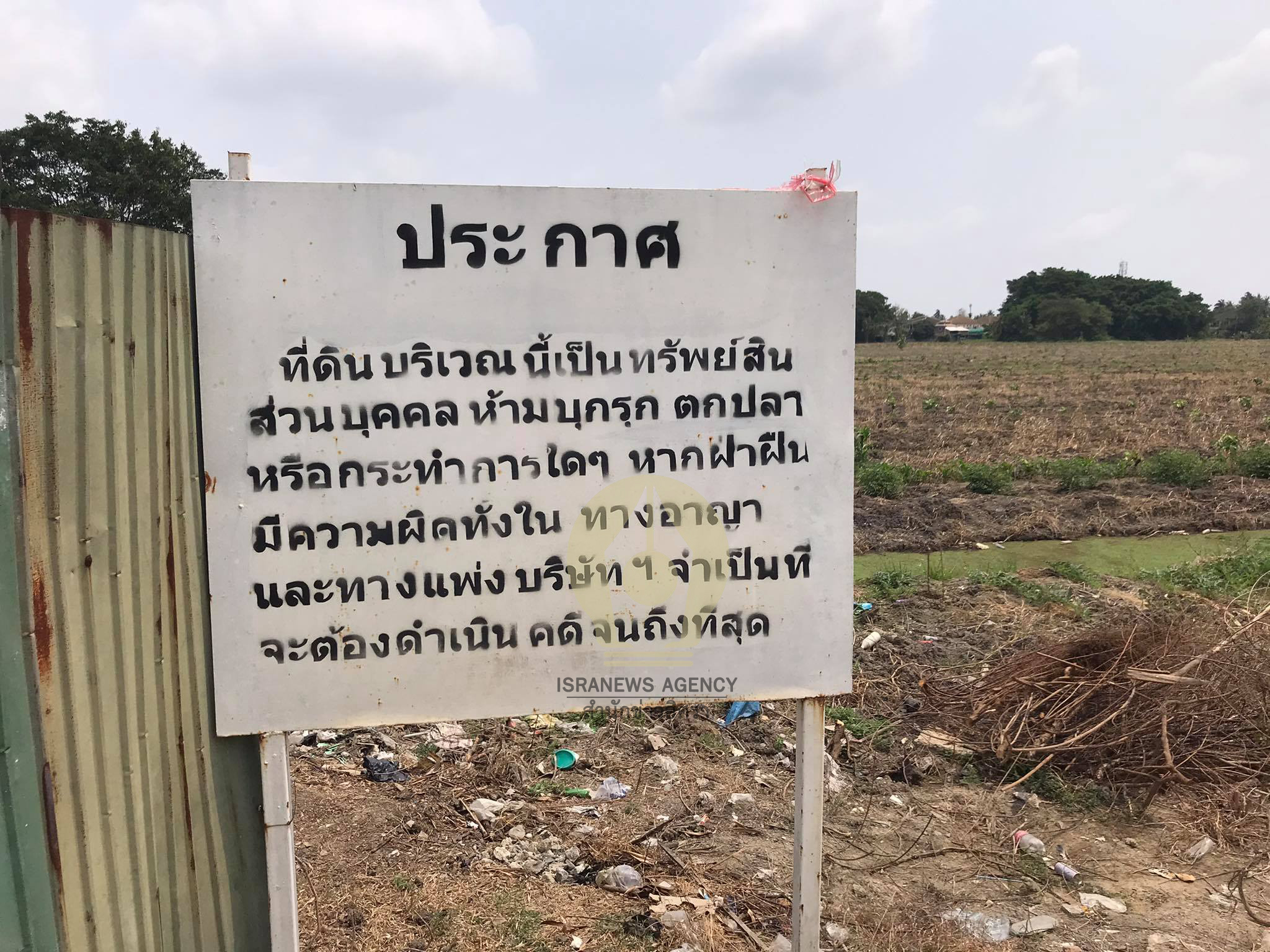 pictreeeeeeeewewe00015 3 64