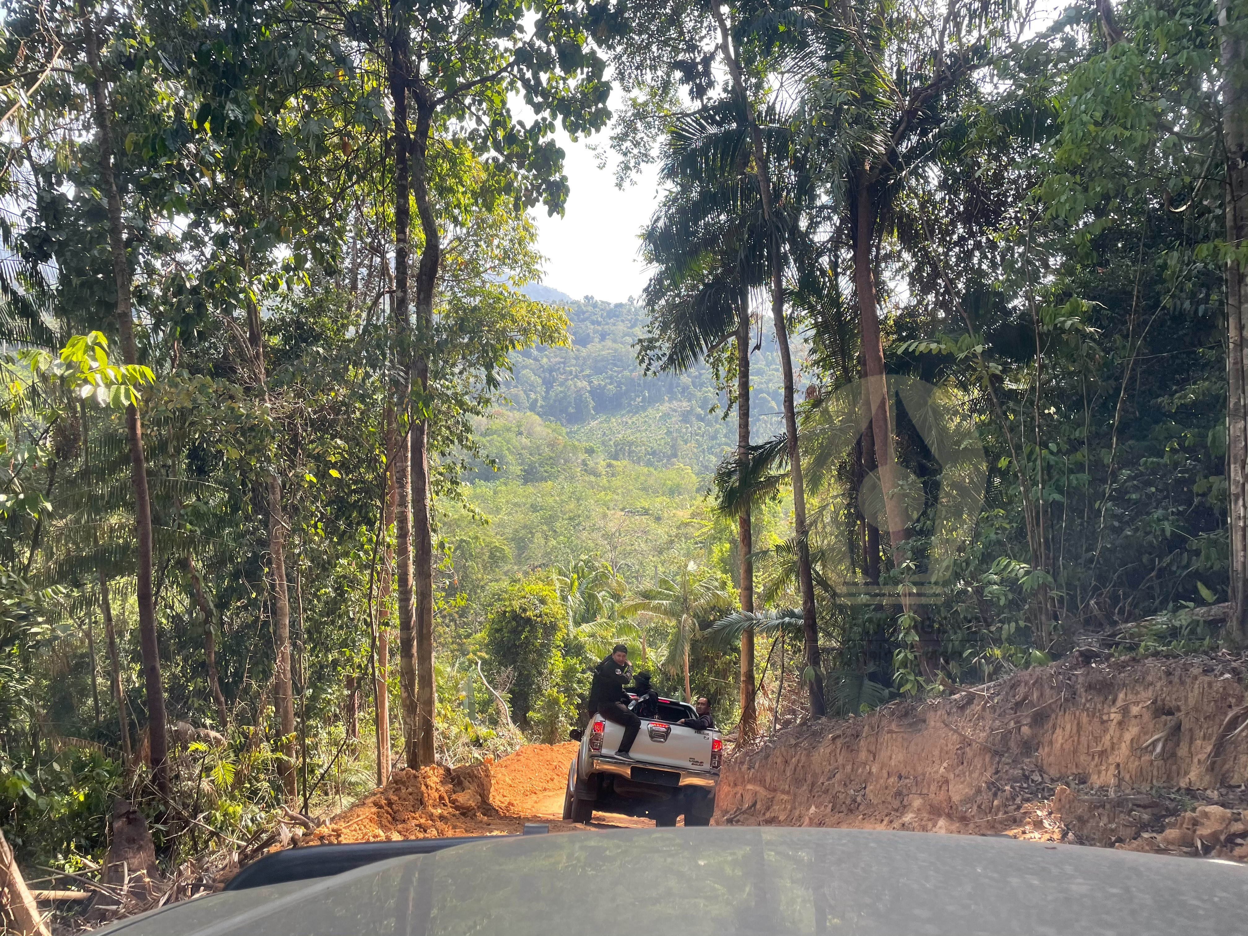 pictreeewewewds963dsd0003 18 64