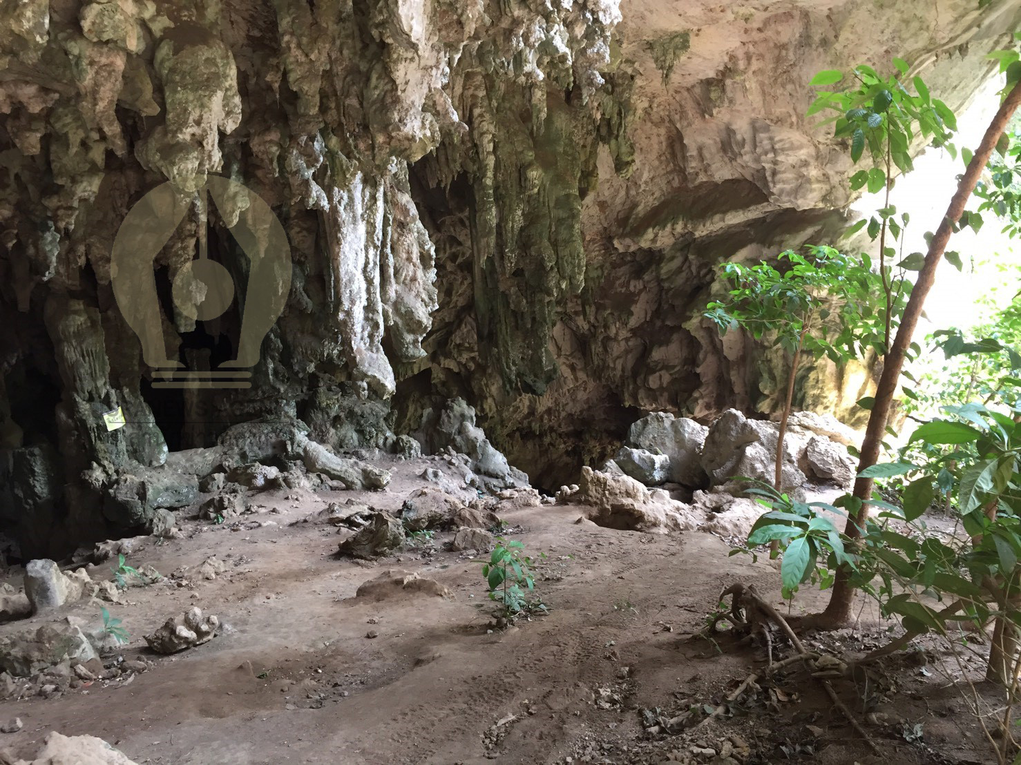 pictrewdssdsd24 3 64