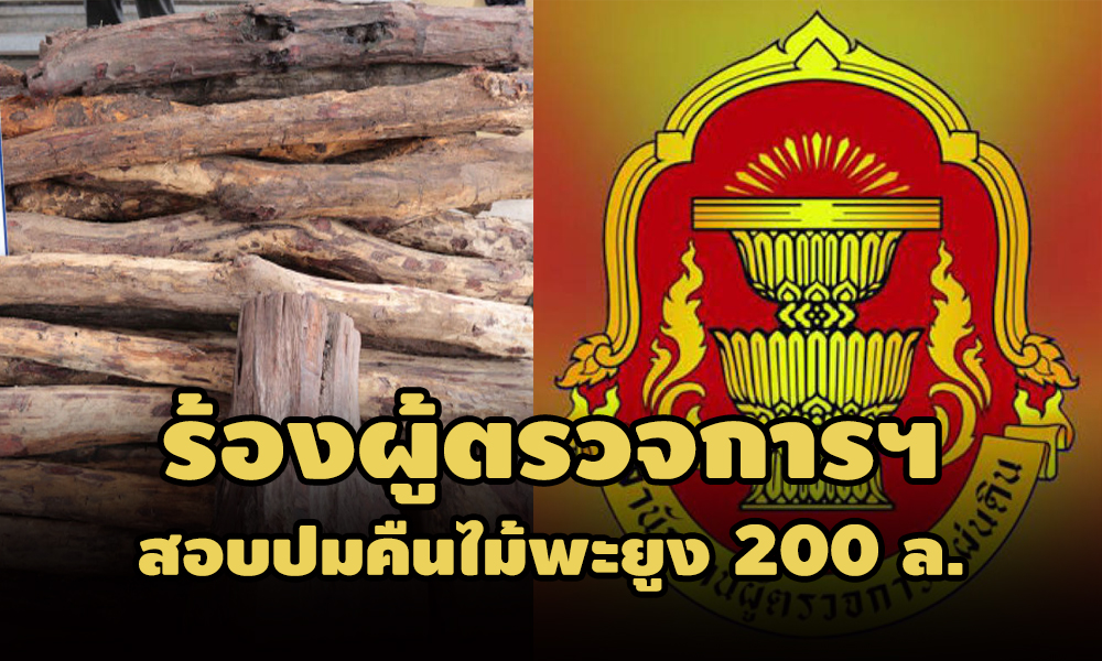 pictrewewewewewe3 17