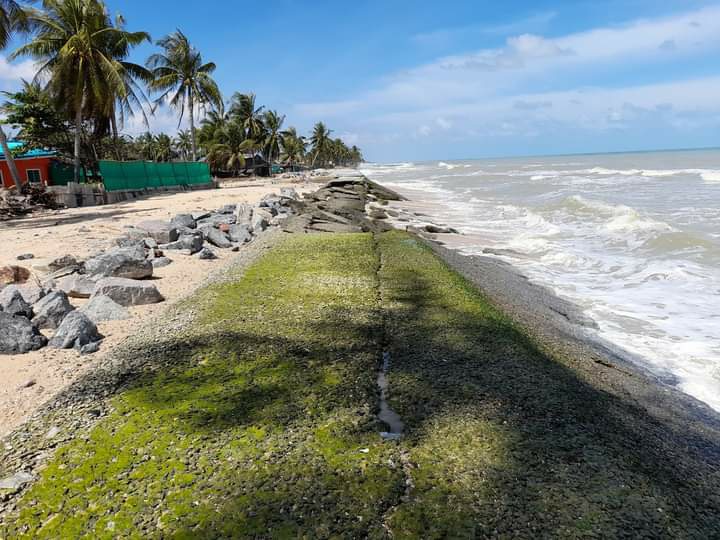 176059998 804123676879712 8476422085153593278 n