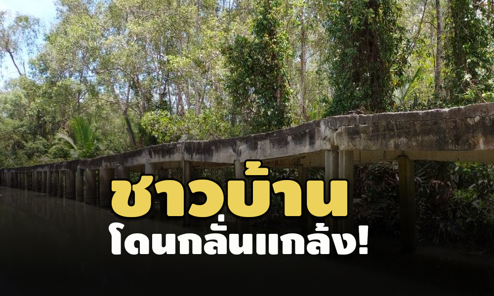 picppllasasas96321 4 64