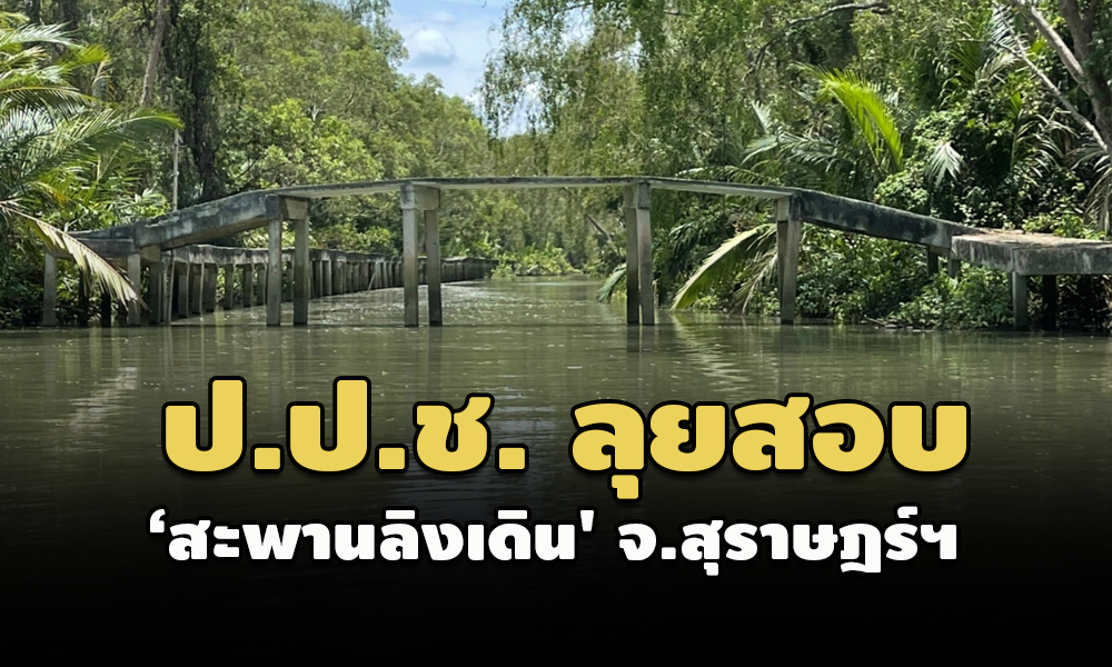 picpprtgedsdsdsdsd26 4 64