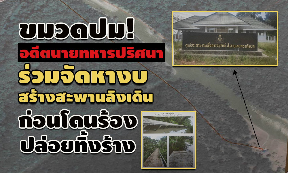 pictreewewewe11 5 64