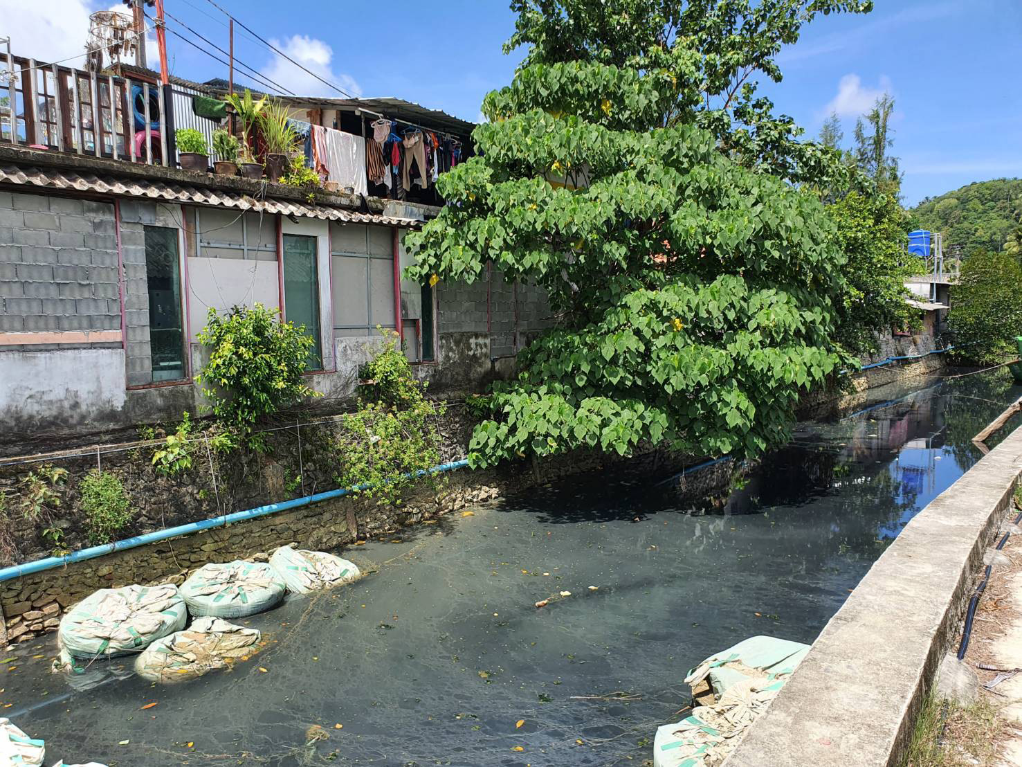 picwatrweww96328 4 64