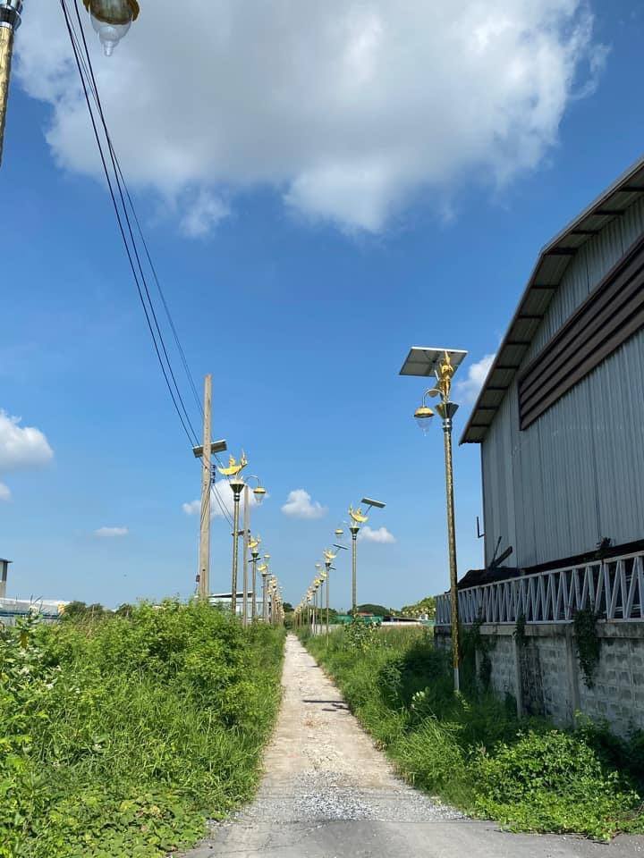 169383338 834058903886189 5293602629936649949 n