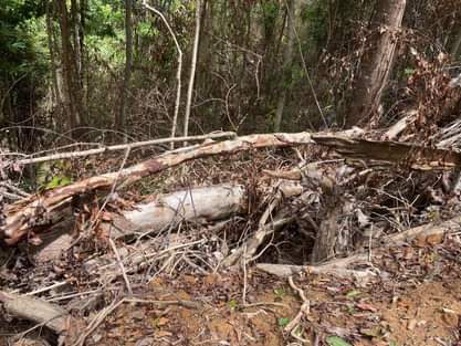 193651668 536851734170734 3301534819747056232 n