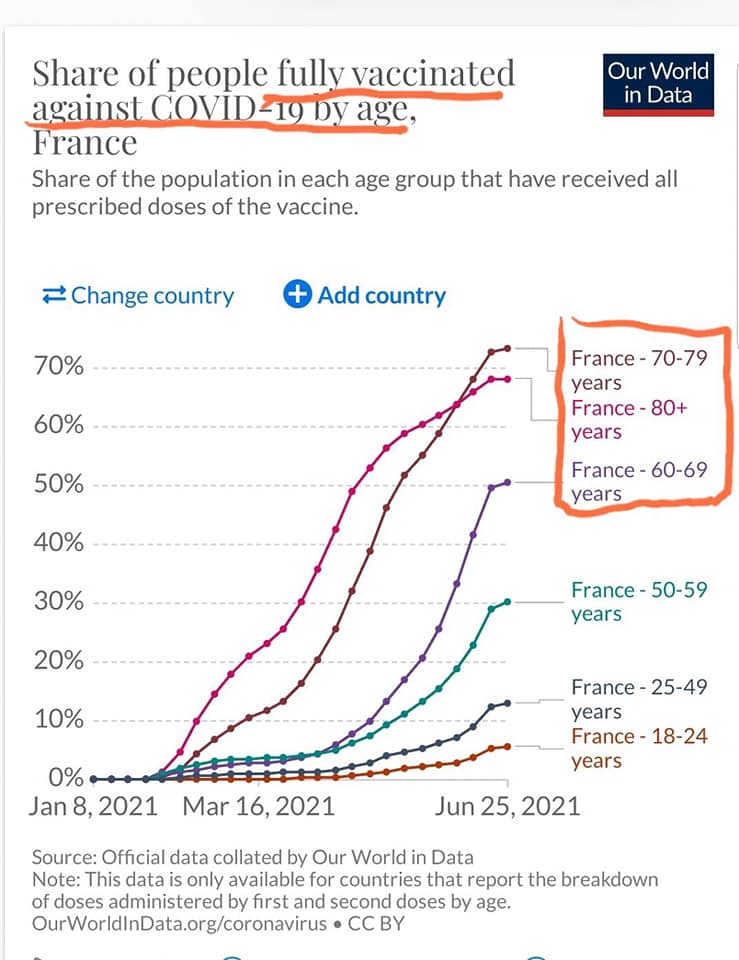 210762286 1757561384427461 7717257430958811844 n